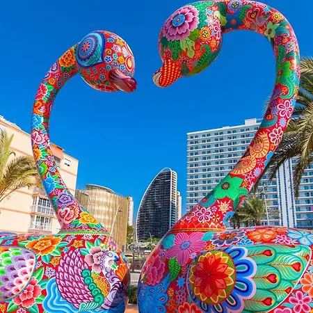 Sunset Waves Fresh *